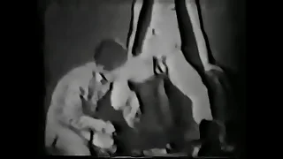 44524 gay porn videos